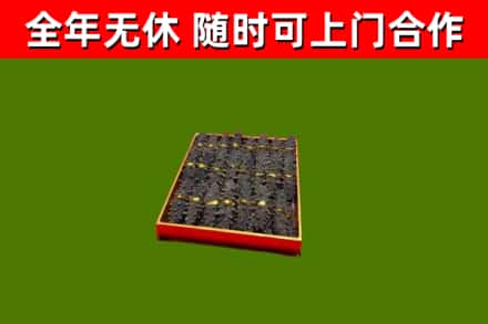 镇坪回收海参